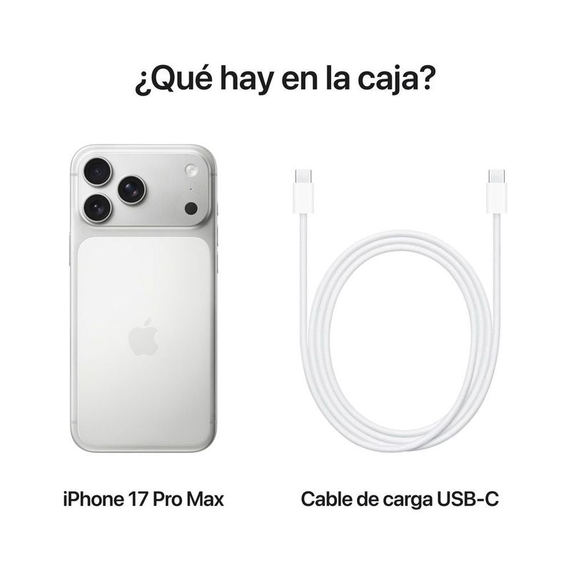 iPhone 17 Pro Max 256GB Silver